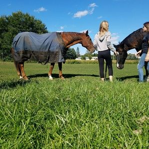 Meet your Posher, Tatum